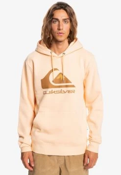 Quiksilver BIG LOGO HOODIE - Sweat à Capuche - Almond Cream