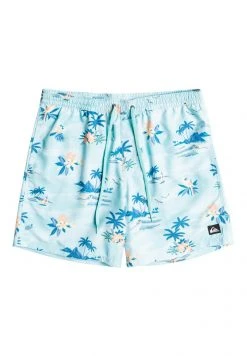Quiksilver EVERYDAY SCENIC - Short De Bain - Blue