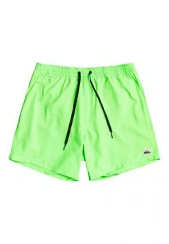 Quiksilver EVERYDAY VOLLEY YOUTH - Short De Bain - Green Gecko