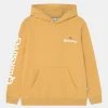 Quiksilver STIR IT UP HOOD YOUTH - Sweatshirt - Rattan -Quiksilver Soldes c6dbf54fc2214bbd923333eeb04edcb1