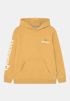 Quiksilver STIR IT UP HOOD YOUTH - Sweatshirt - Rattan
