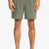 Quiksilver OMNI STRETCH 17" - Short De Bain - Thyme -Quiksilver Soldes c9f7db14d1184494a87a7b223d12b6c3