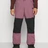 Quiksilver SNOW DOWN - Pantalon De Ski - Purple Gumdrop