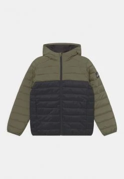 Quiksilver SCALY MIX YOUTH - Veste D'hiver - Four Leaf Clover