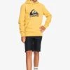 Quiksilver BIG LOGO YOUTH - Sweat à Capuche - Rattan 1 Quiksilver BIG LOGO YOUTH - Sweat à Capuche - Rattan -Quiksilver Soldes d472d3f312784bac85c1f7515eddbdf1