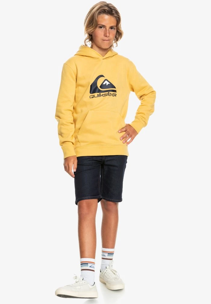 BIG LOGO YOUTH - Sweat à capuche - rattan Quiksilver BIG LOGO YOUTH - Sweat à Capuche - Rattan -Quiksilver Soldes d472d3f312784bac85c1f7515eddbdf1