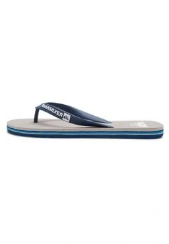 Quiksilver MOLOKAI - Tongs - Grey