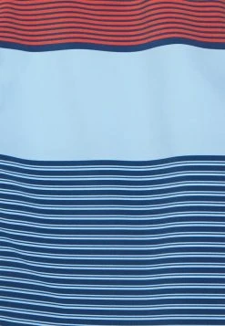 Quiksilver SURFSILK TIJUANA - Short De Bain - Insignia Blue 4 Quiksilver SURFSILK TIJUANA - Short De Bain - Insignia Blue -Quiksilver Soldes dc9bdb9d37474bfc896fc5dca5c82790