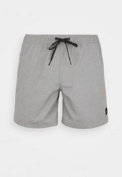 Quiksilver EVERYDAY VOLLEY - Short De Bain - Sleet Heather