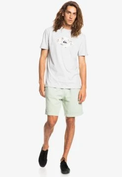 Quiksilver LET IT RIDE - T-shirt Imprimé - Athletic Heather -Quiksilver Soldes e55caa2413094a7fb0b87011795bed84