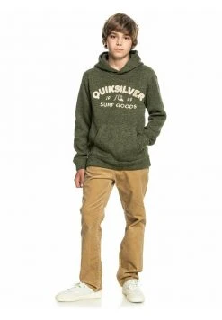 Quiksilver KELLER - Sweat à Capuche - Four Leaf Clover