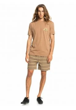 Quiksilver RAINBOW VALLEY - T-shirt Imprimé - Chipmunk 8 Quiksilver RAINBOW VALLEY - T-shirt Imprimé - Chipmunk -Quiksilver Soldes eda98d6ede874463ae68c0652918ded9