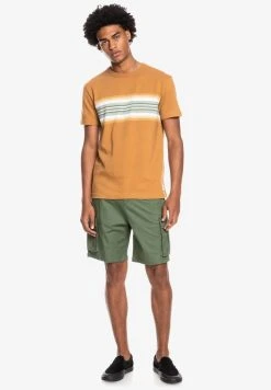 Quiksilver TRANSAT PLACEMENT - T-shirt Imprimé - Chipmunk -Quiksilver Soldes f4794bd3131a40918a2620579911fd3d