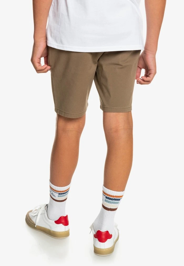 Quiksilver Short - Fallen Rock 5 Quiksilver Short - Fallen Rock – Image 3