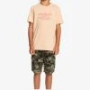 Quiksilver FEEDING LINE - T-shirt Imprimé - Almond Cream -Quiksilver Soldes fd65f66624504ca9b9dc1dd07e451b17