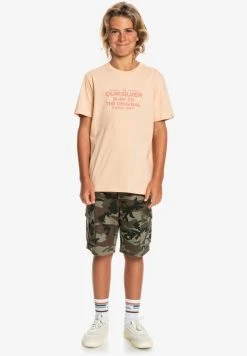 Quiksilver FEEDING LINE - T-shirt Imprimé - Almond Cream